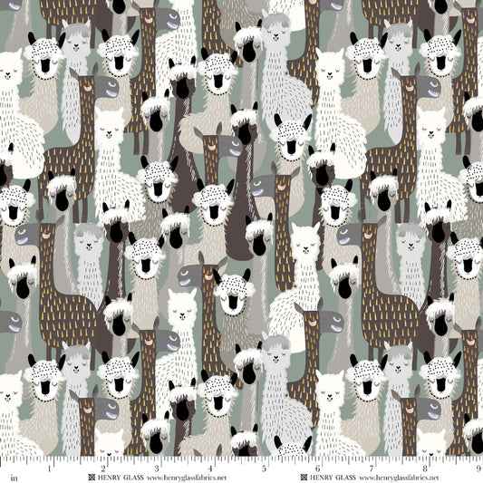 Highland Nature Walk by Alison Woodside - Llamas 4597-90 Grey