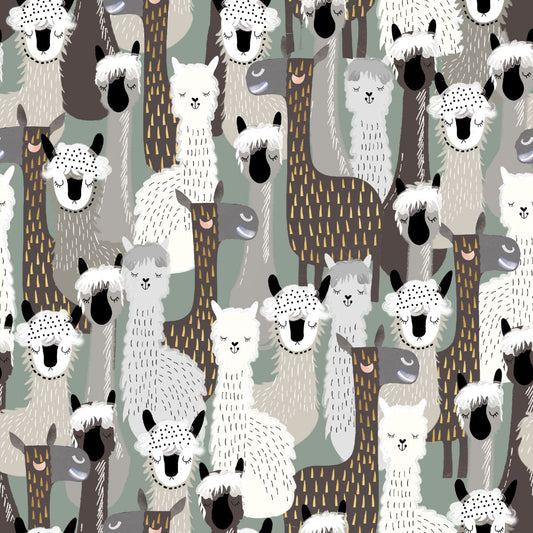Highland Nature Walk by Alison Woodside - Llamas 4597-90 Grey