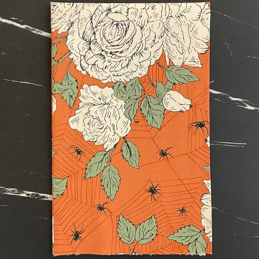 Home Sweet Haunt by Stacy Iest Hsu : Bundles