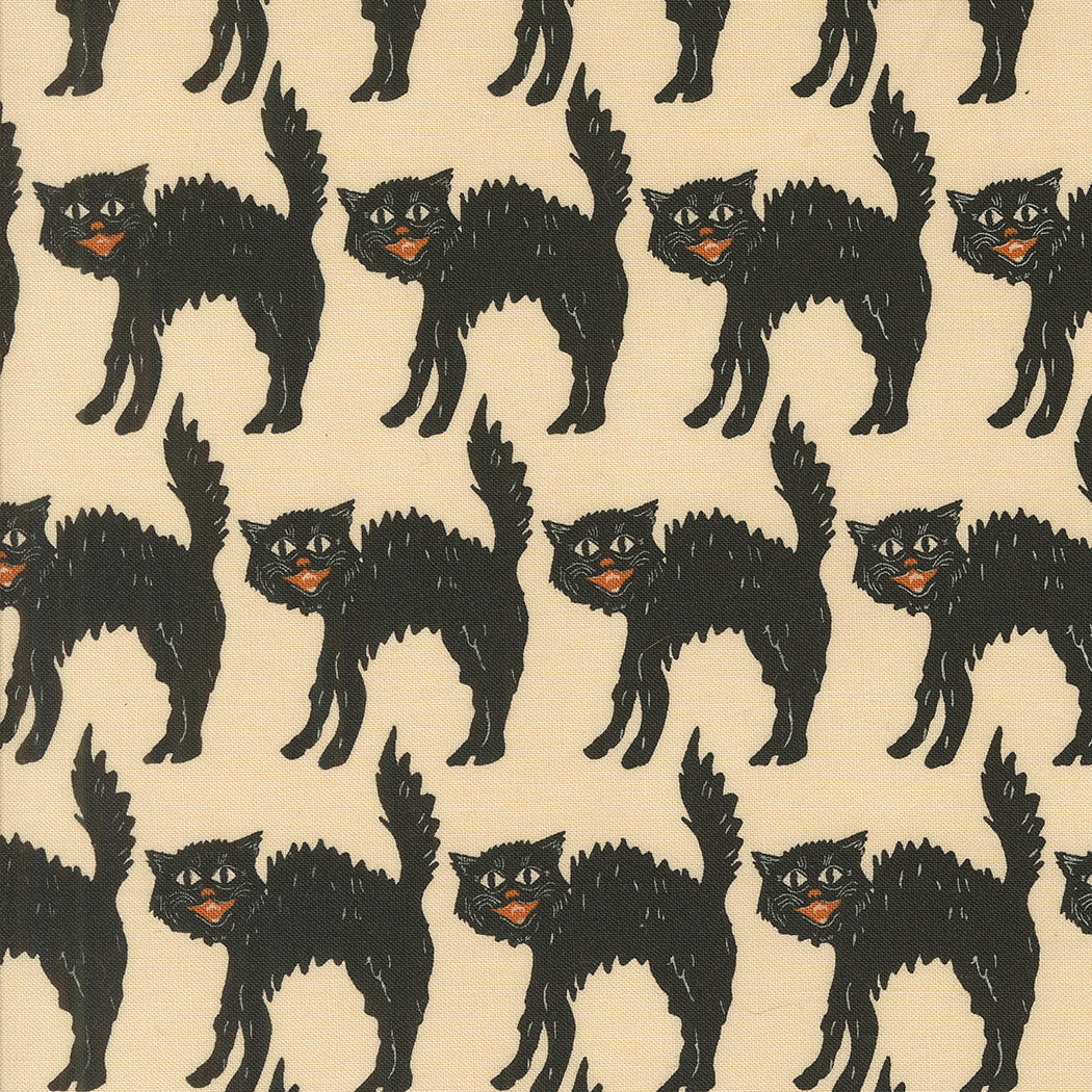 Home Sweet Haunt by Stacy Iest Hsu : Little Black Cat Bone 20915 11