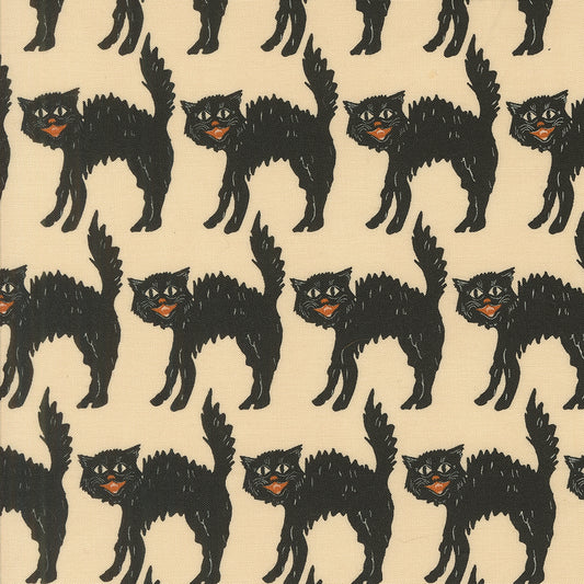 Home Sweet Haunt by Stacy Iest Hsu : Little Black Cat Bone 20915 11