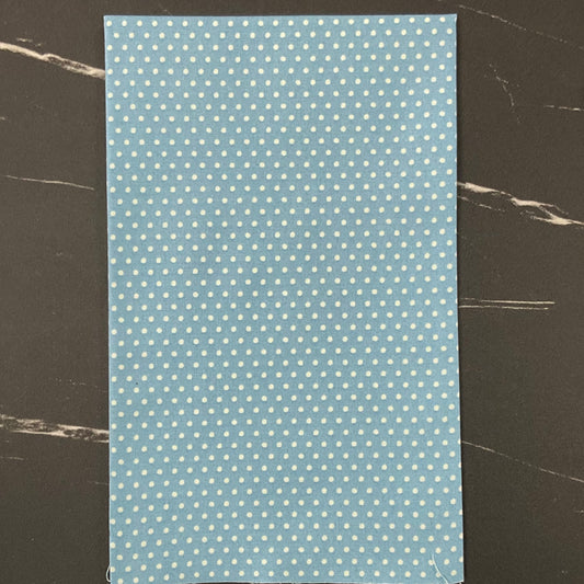 Animal Park Fun by Stacy Iest Hsu : Dotty Dot Bluebird 20967 12