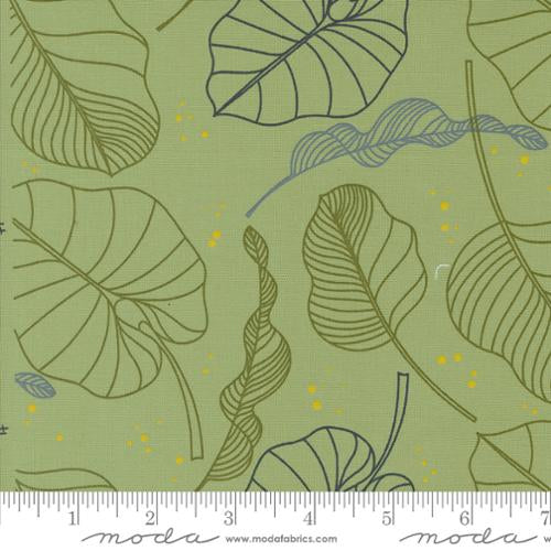 Olive You by Zen Chic - Leaves Sage 1880 18 (Estimated Arrival Date- November 2024)