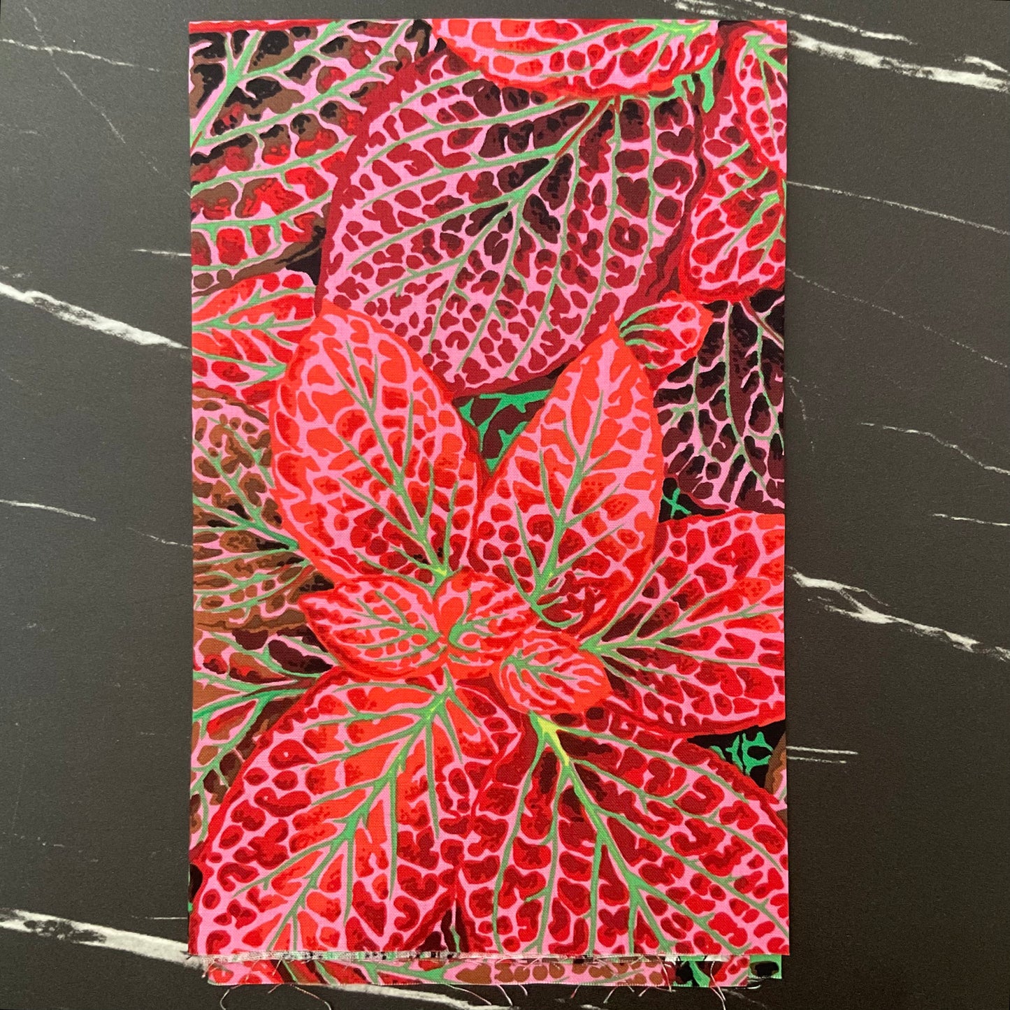 Kaffe Fassett Collective August 2024 - Fittonia Red PWPJ129.RED