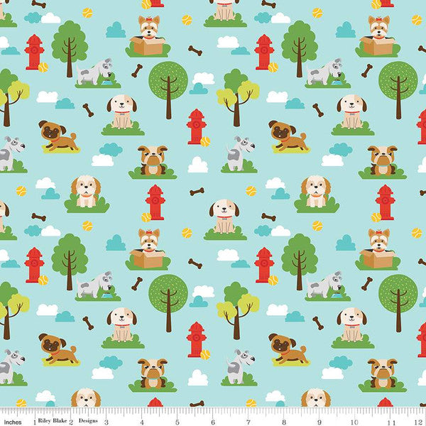 Animaux de compagnie de Lori Whitlock : Chiens Aqua 