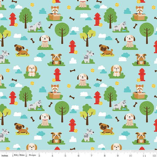 Animaux de compagnie de Lori Whitlock : Chiens Aqua 