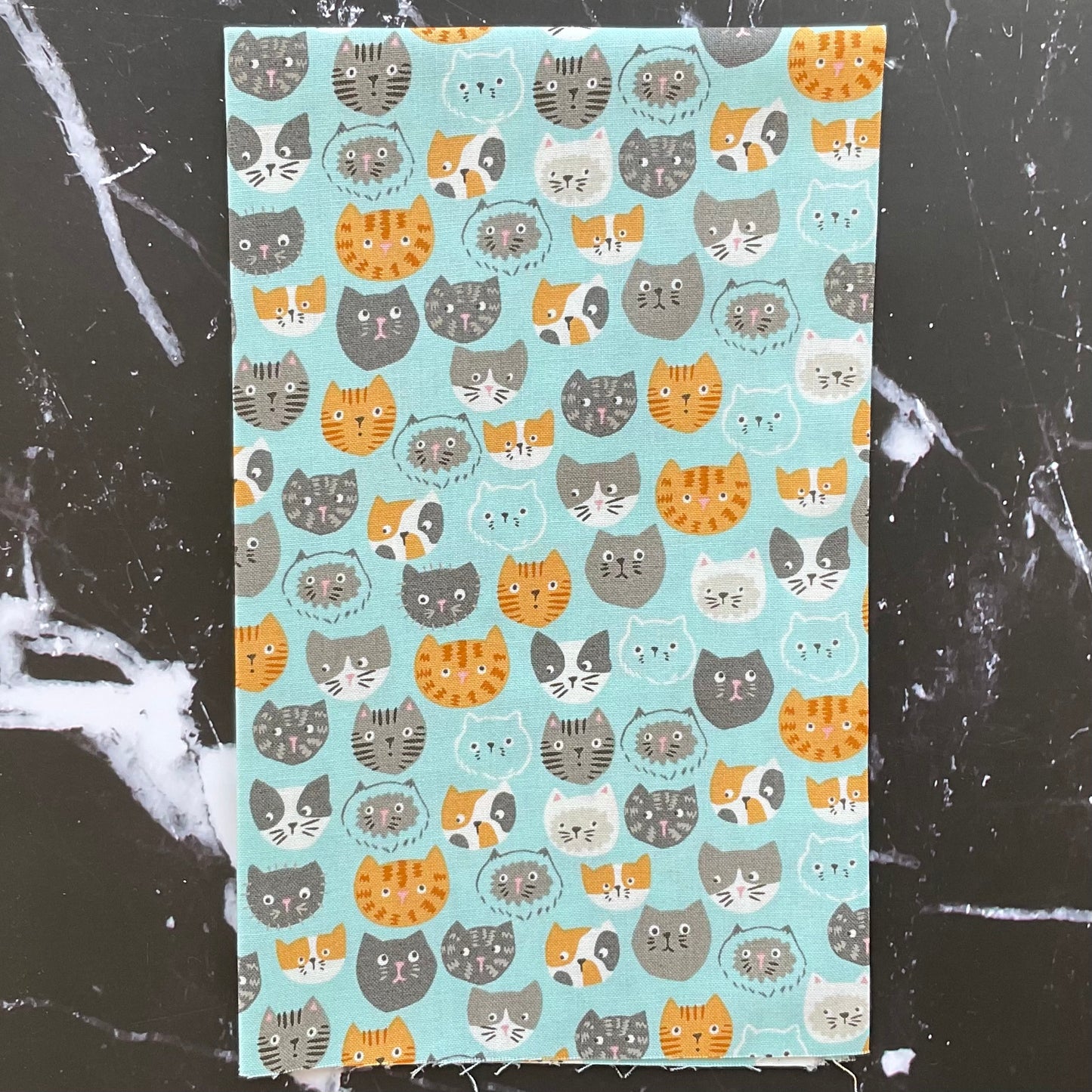 Here Kitty Kitty by Stacy Iest Hsu : Bundles