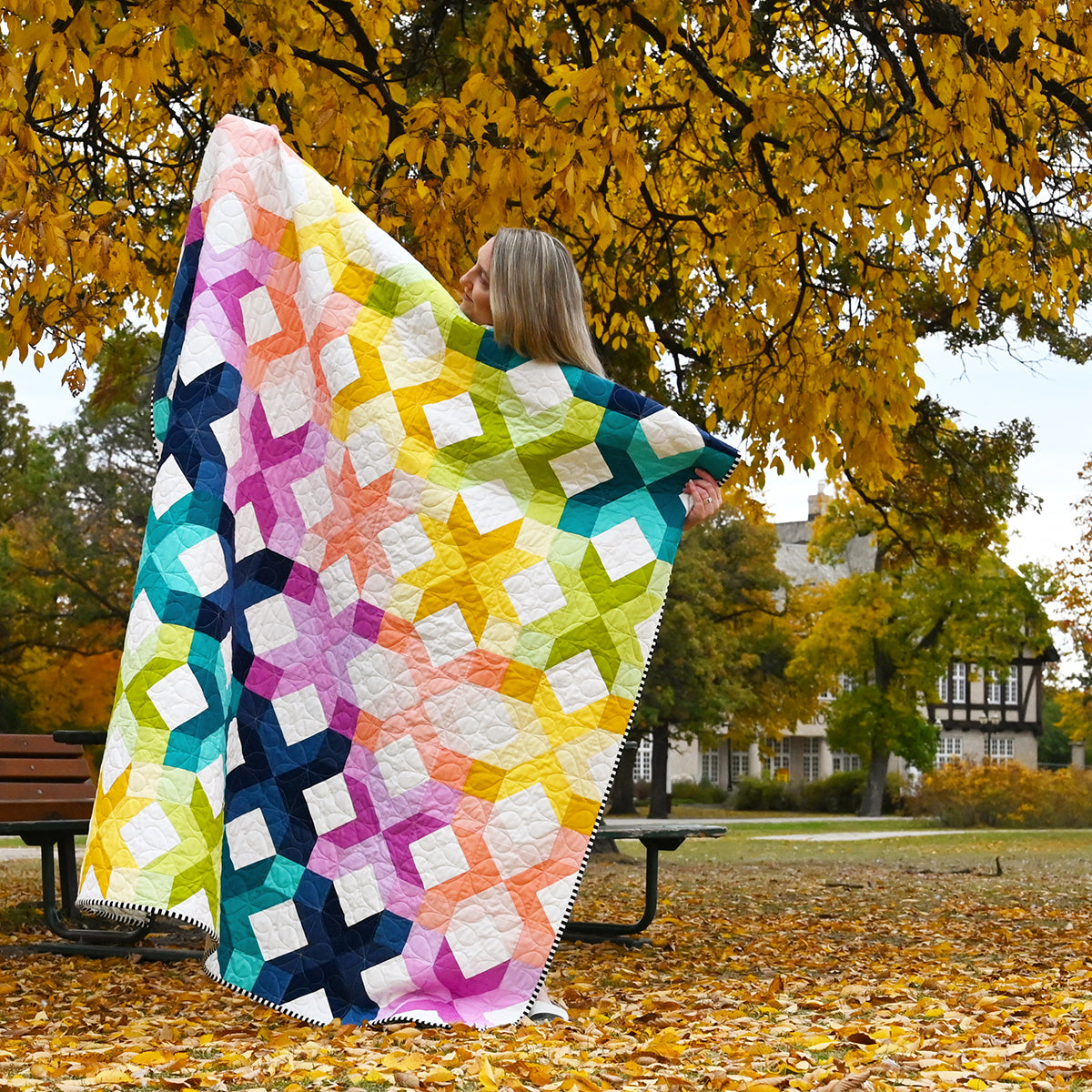 Ironwood Point Quilt Pattern by Holly Clarke Design