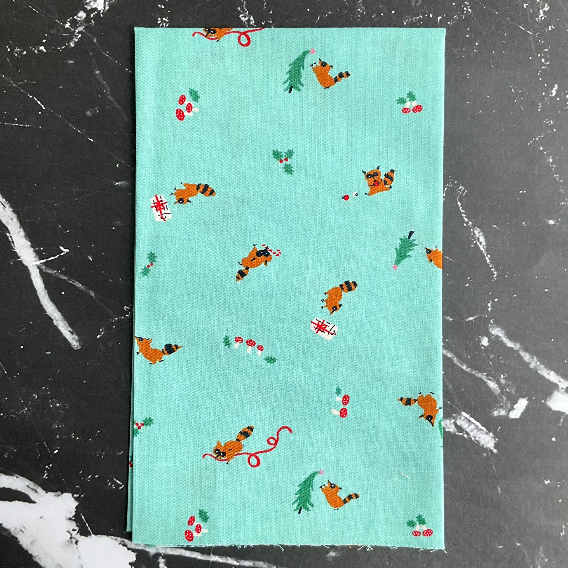 Jolly Darlings by Ruby Star Society : Frost RS5083 13