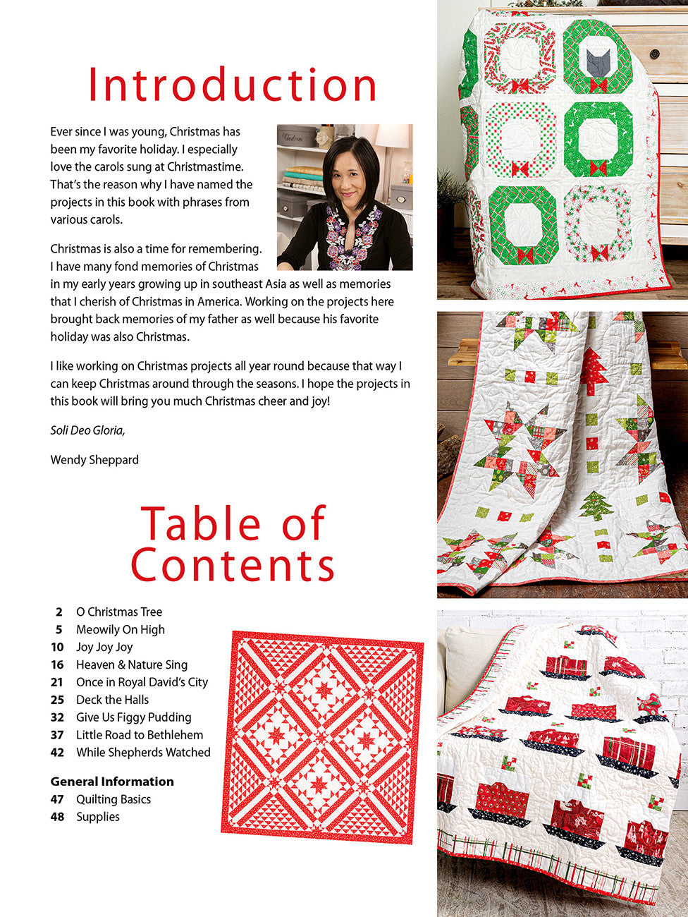 Joy Joy Joy Quilt Kit featuring Ruby + Bee Solids - 1 Left!