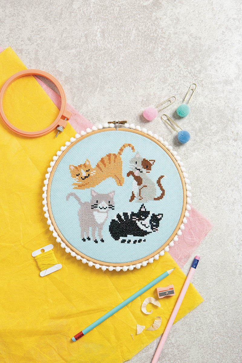 Jump Into Cross Stitch by Sally Wilson