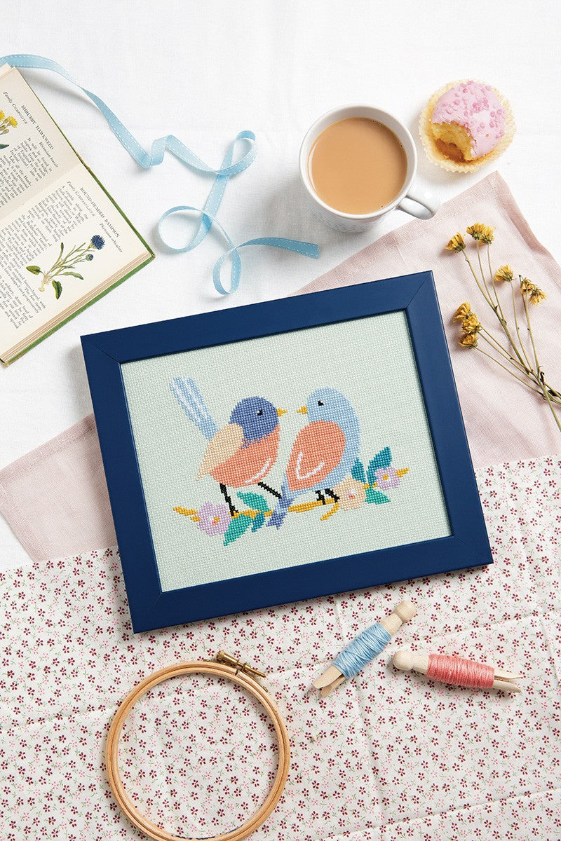 Jump Into Cross Stitch by Sally Wilson