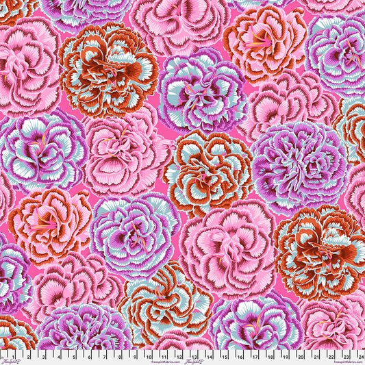Kaffe Fassett Collective August 2025 : Picotee Carnations Pink PWPJ133.PINK