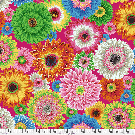 Kaffe Fassett Collective August 2026 : Gerbera Daisies Bright PWPJ139.BRIGHT