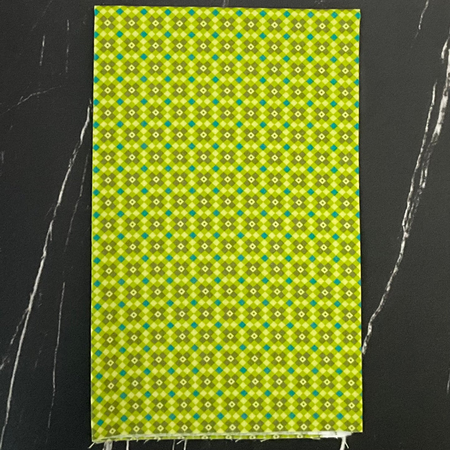 Legendary Love by Sarah Thomas of Sariditty : Fencing Grass 45055 18