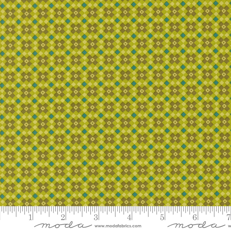 Legendary Love by Sarah Thomas of Sariditty : Fencing Grass 45055 18