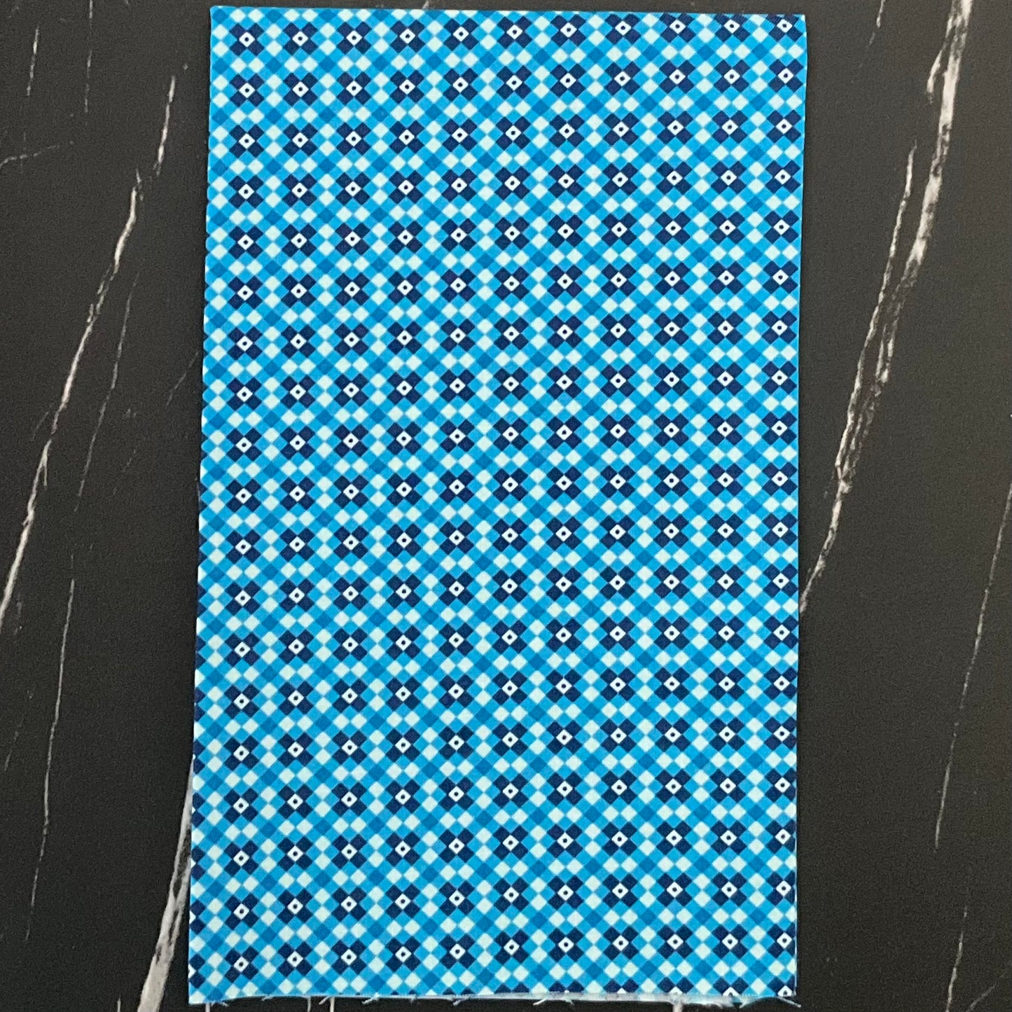 Legendary Love by Sarah Thomas of Sariditty : Fencing Navy 45055 12