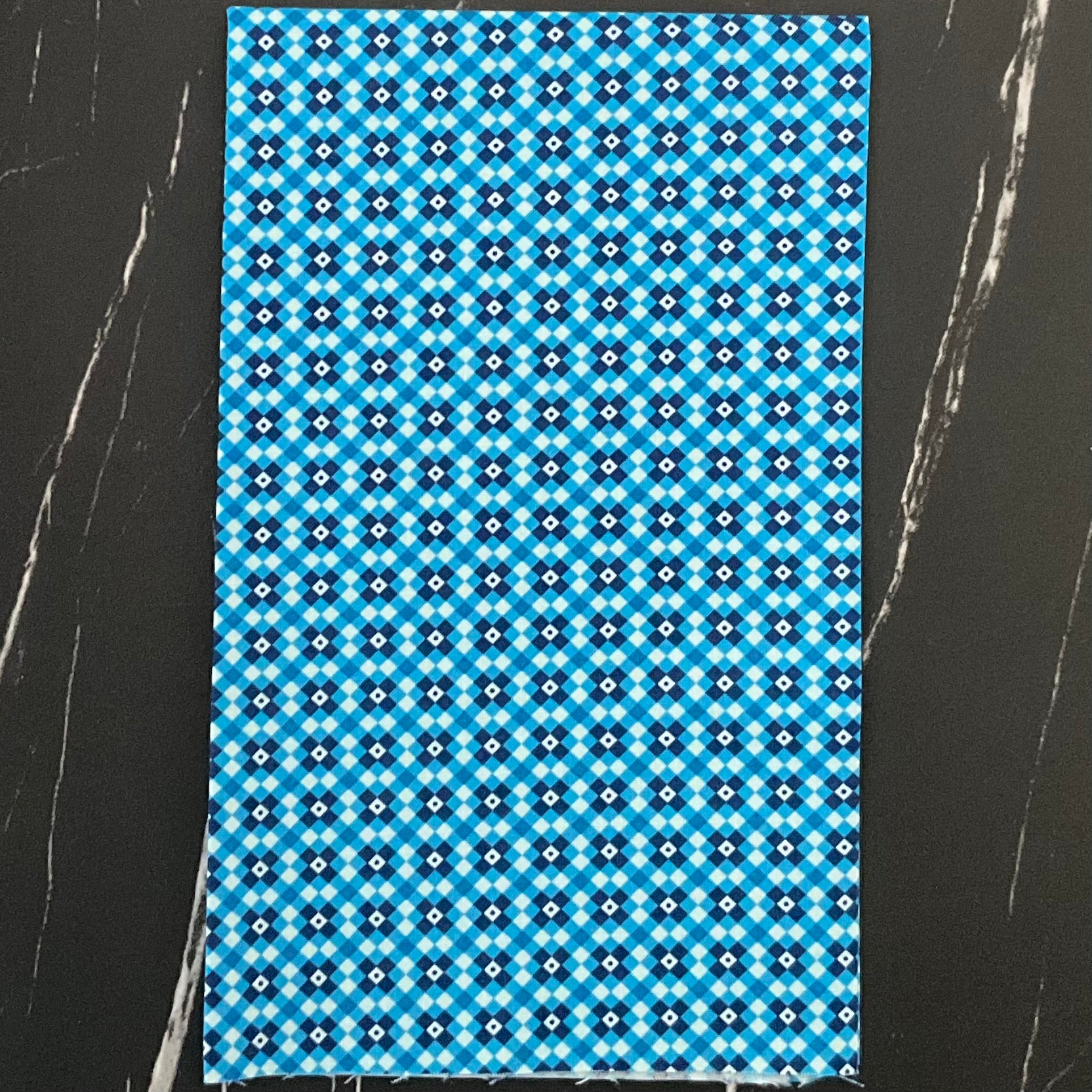 Legendary Love by Sarah Thomas of Sariditty : Fencing Navy 45055 12