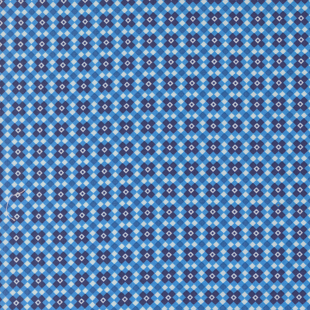 Legendary Love by Sarah Thomas of Sariditty : Fencing Navy 45055 12