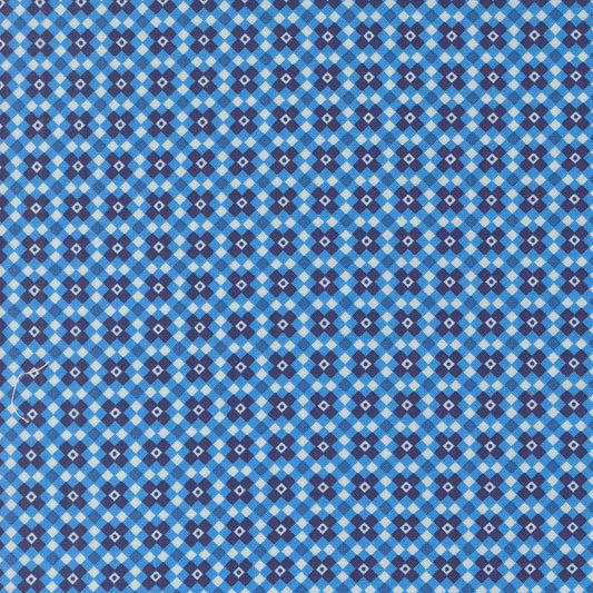 Legendary Love by Sarah Thomas of Sariditty : Fencing Navy 45055 12