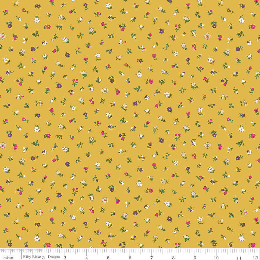 Liberty Flower Shop : 2 1/2" Rolie Polie