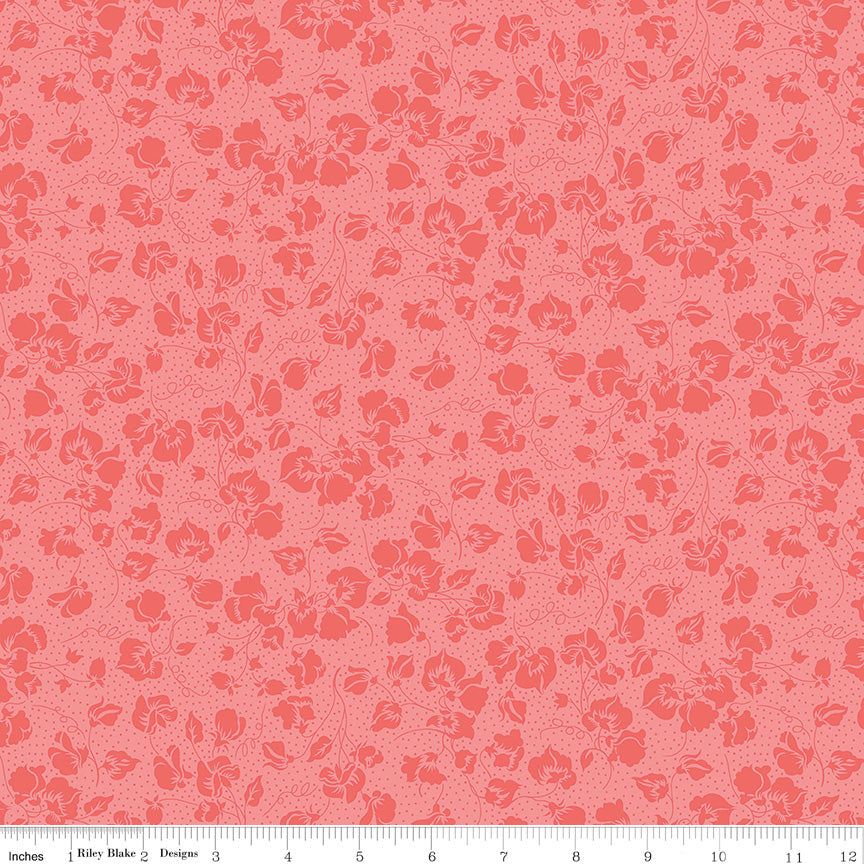 Liberty Flower Shop : 2 1/2" Rolie Polie