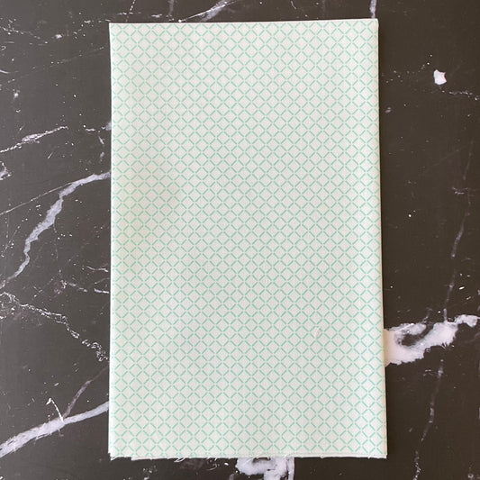 Lighthearted by Camille Roskelley - Summer Cream Aqua 55295 21