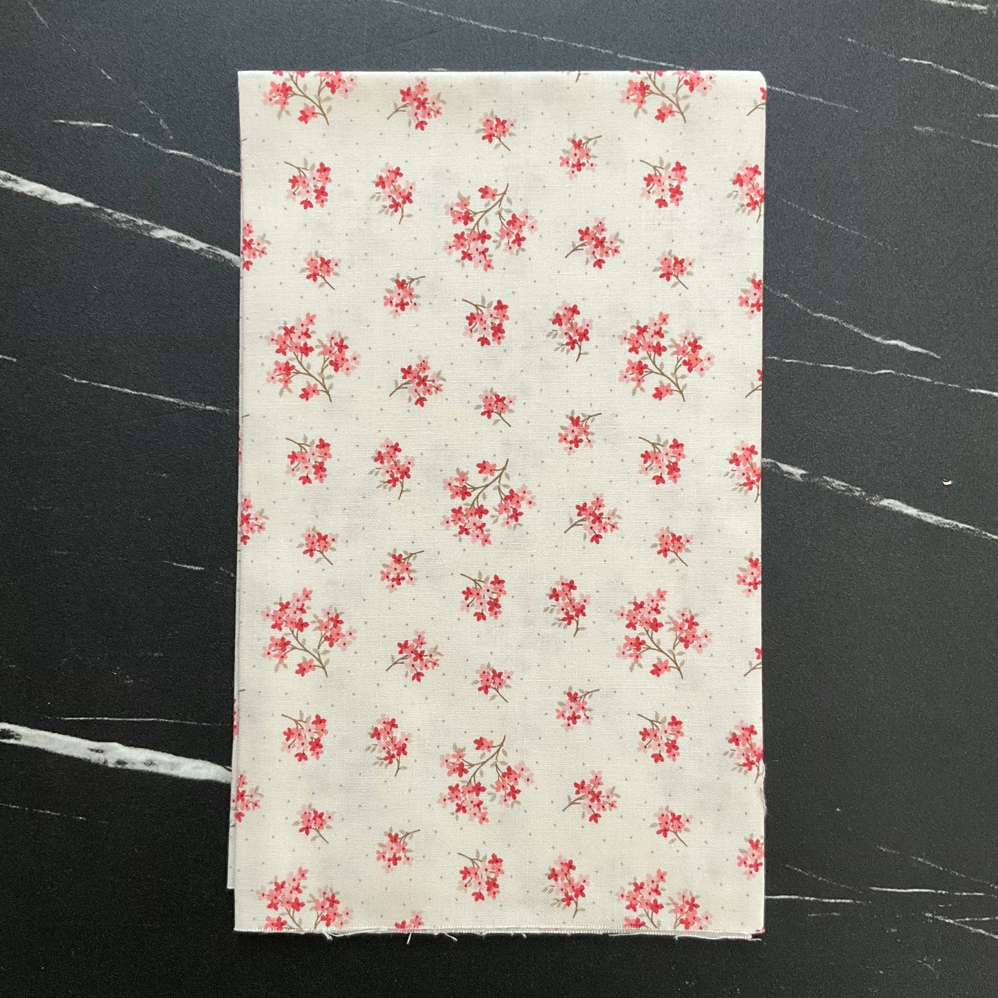 Lighthouse by Laundry Basket Quilts - Sand Verbena Seashells A1479-L