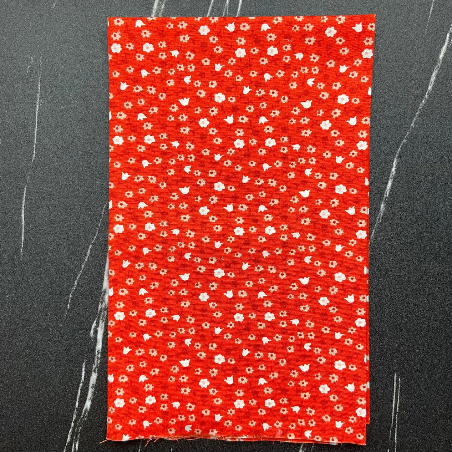 Lil by Kimberly Kight - Catalog Calico Florida RS3057 14