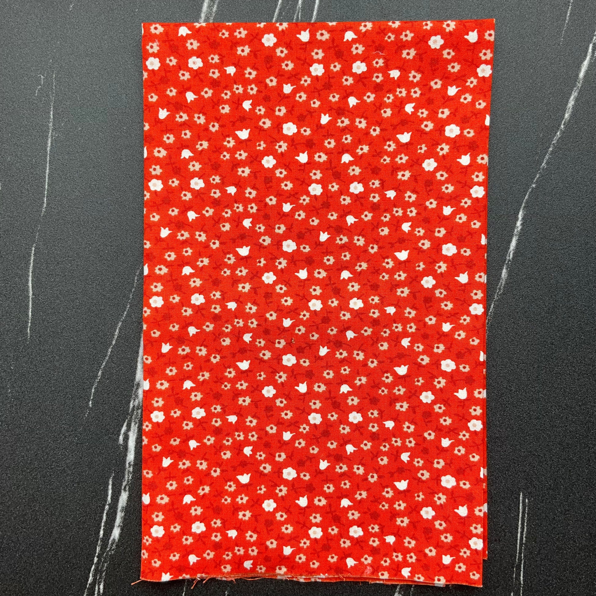 Lil by Kimberly Kight - Catalog Calico Florida RS3057 14