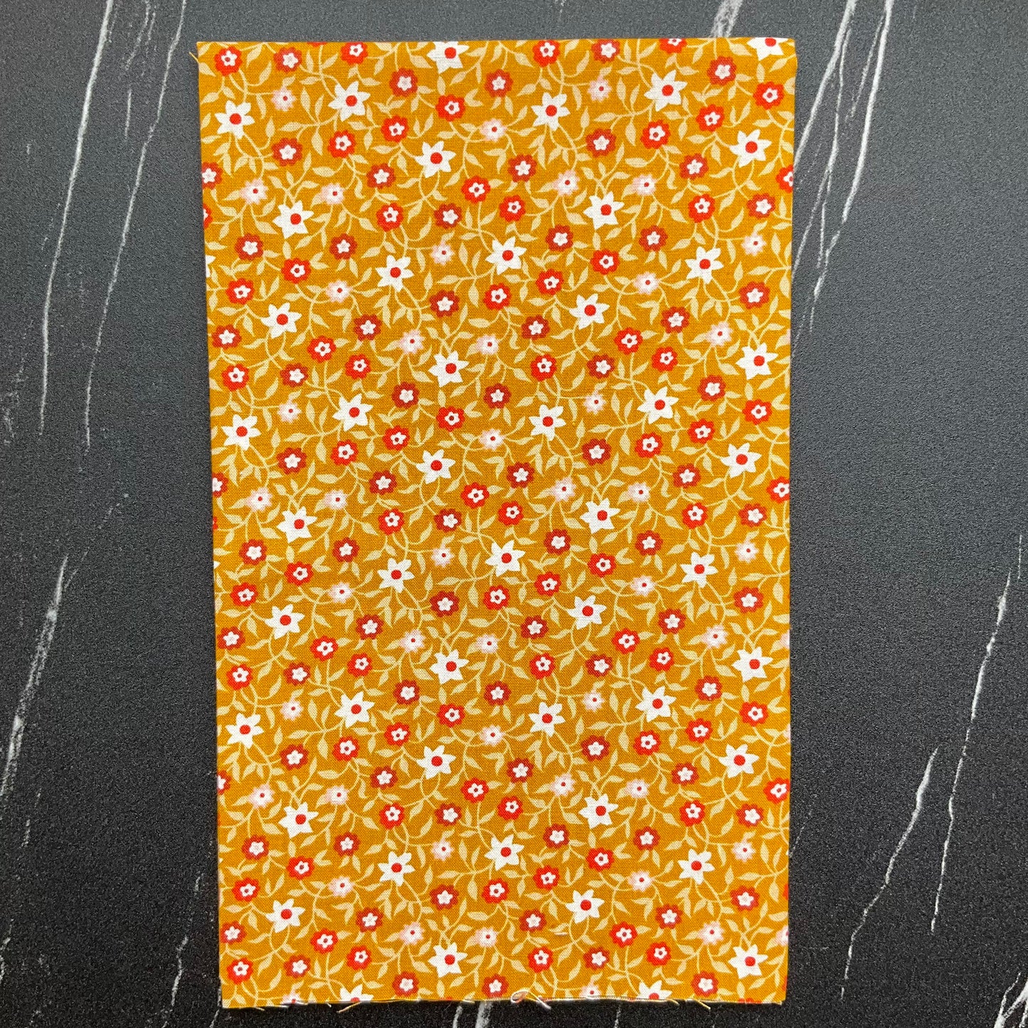 Lil by Kimberly Kight - Creeping Vine Cactus RS3055 11