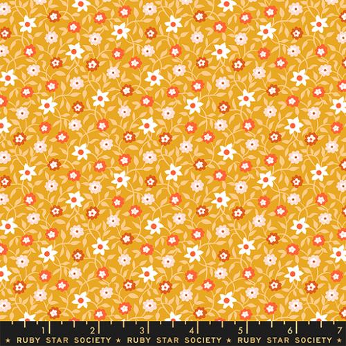 Lil by Kimberly Kight - Creeping Vine Cactus RS3055 11