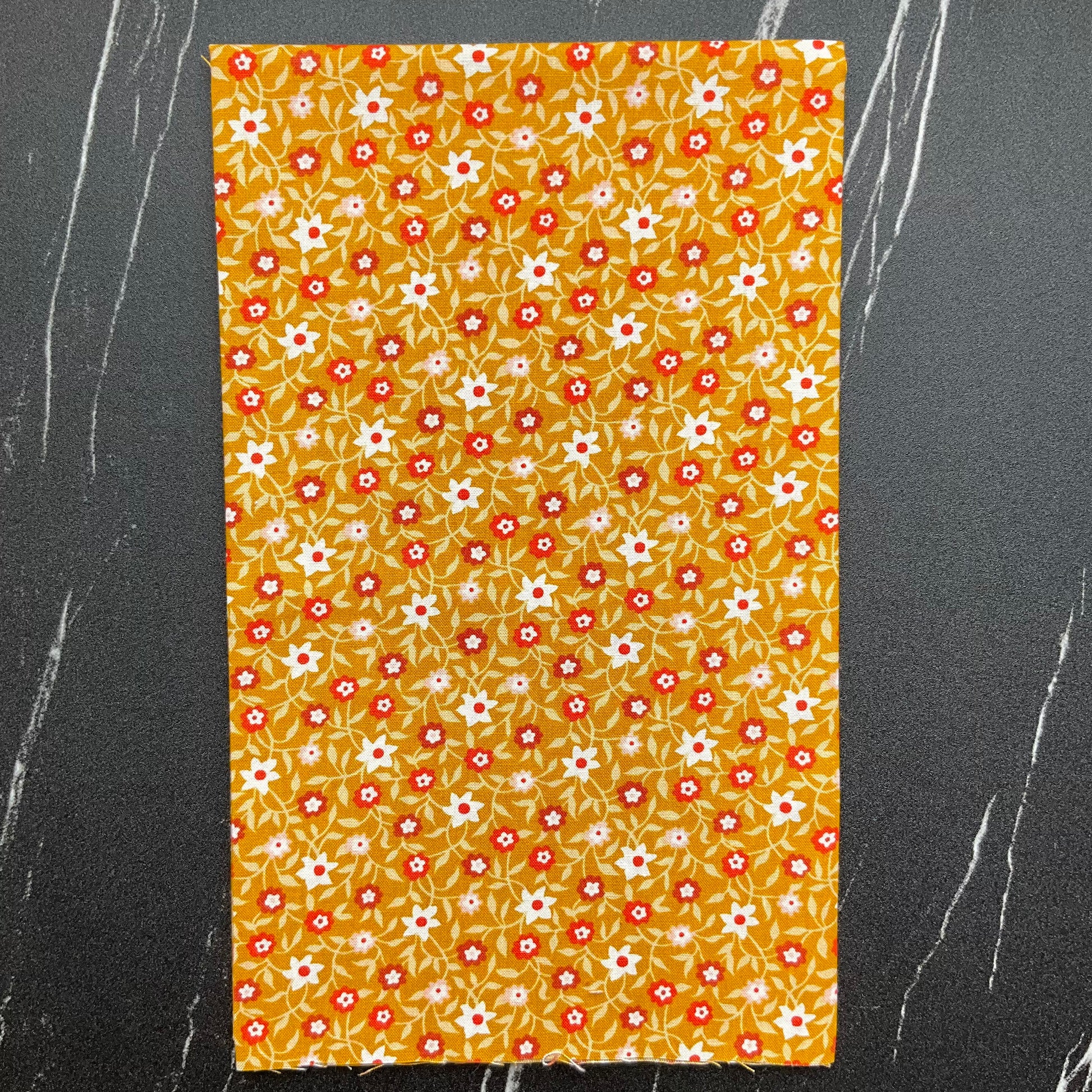 Lil by Kimberly Kight - Creeping Vine Cactus RS3055 11