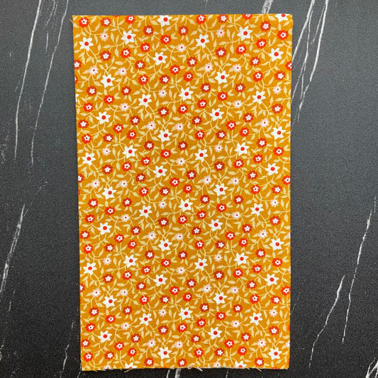 Lil by Kimberly Kight - Creeping Vine Cactus RS3055 11