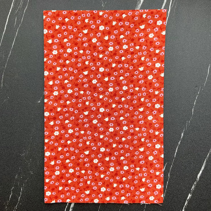 Lil by Kimberly Kight - Bundle