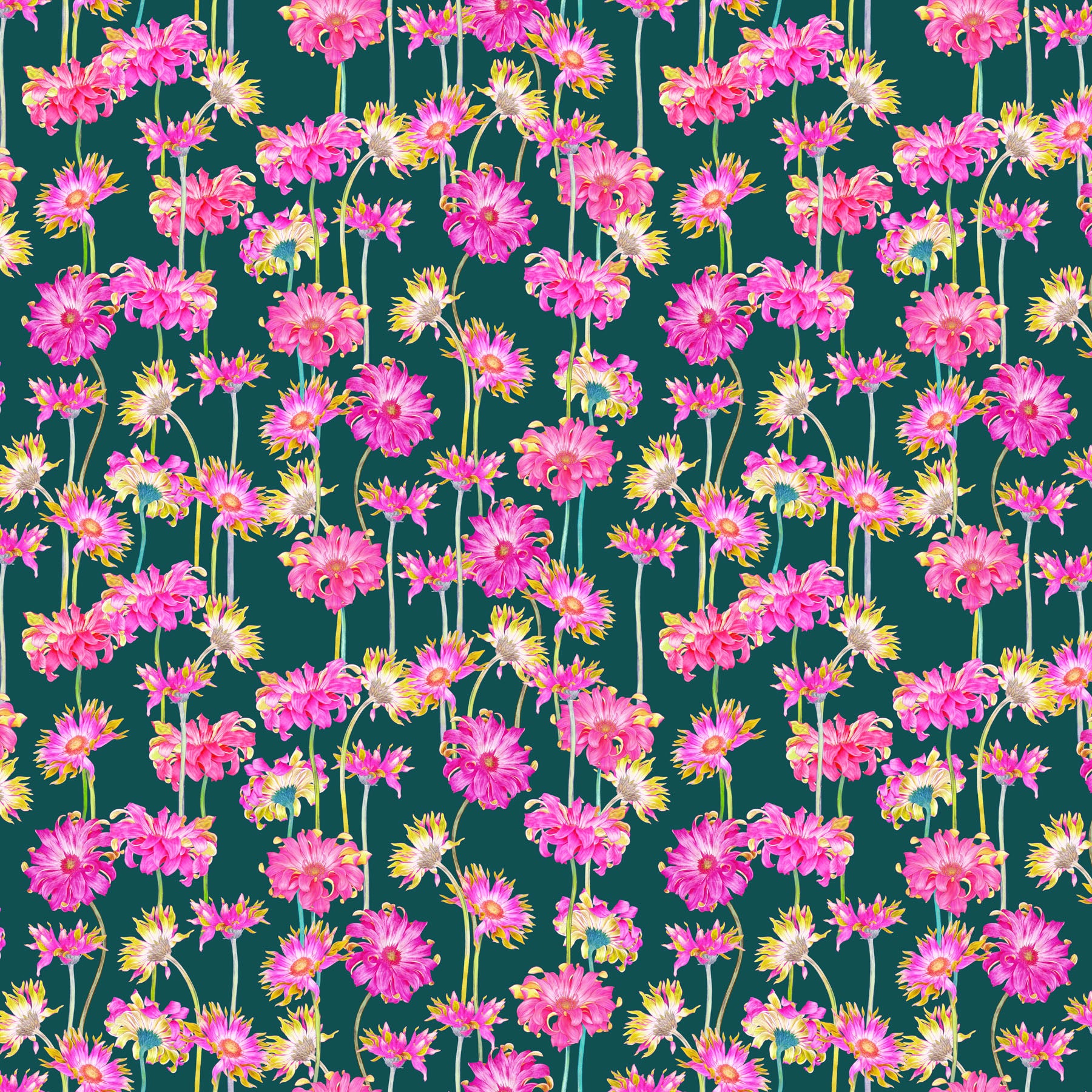 Margo by Adriana Picker : Bundles