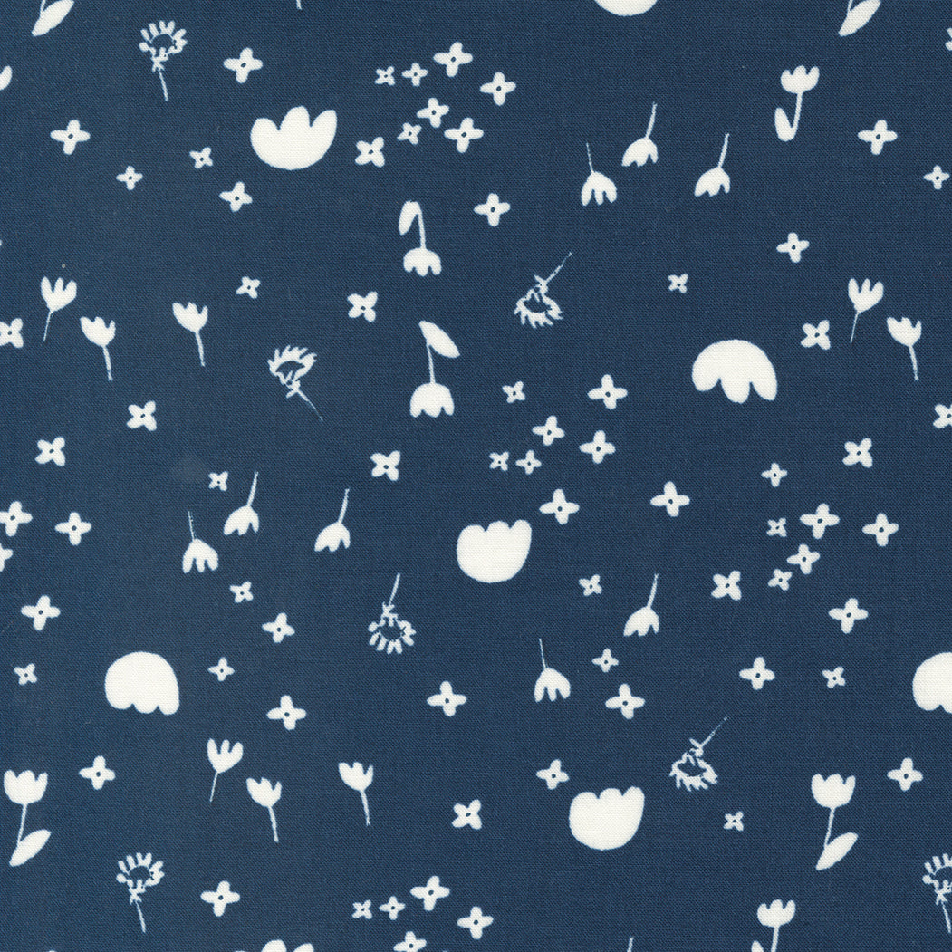 Marigold by Aneela Hoey - Drift Night 24603 21