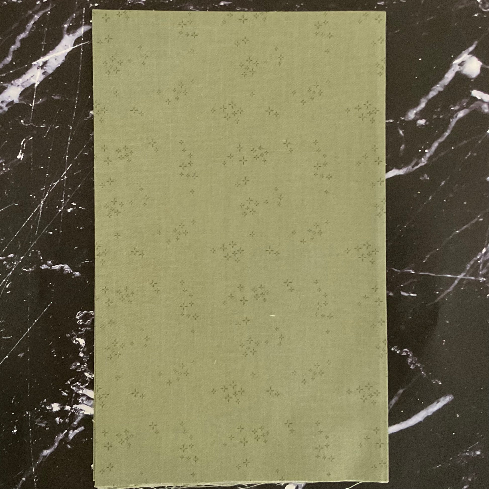 Nature Study 2.0 by Whistler Studios - Astra Chlorophyll 54686-11