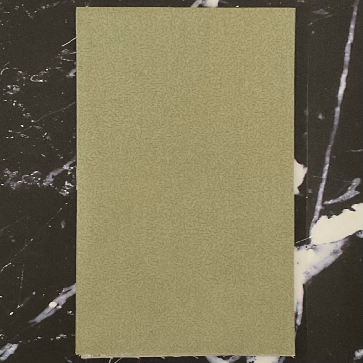 Nature Study 2.0 by Whistler Studios - Pile Green Tea 54688-29