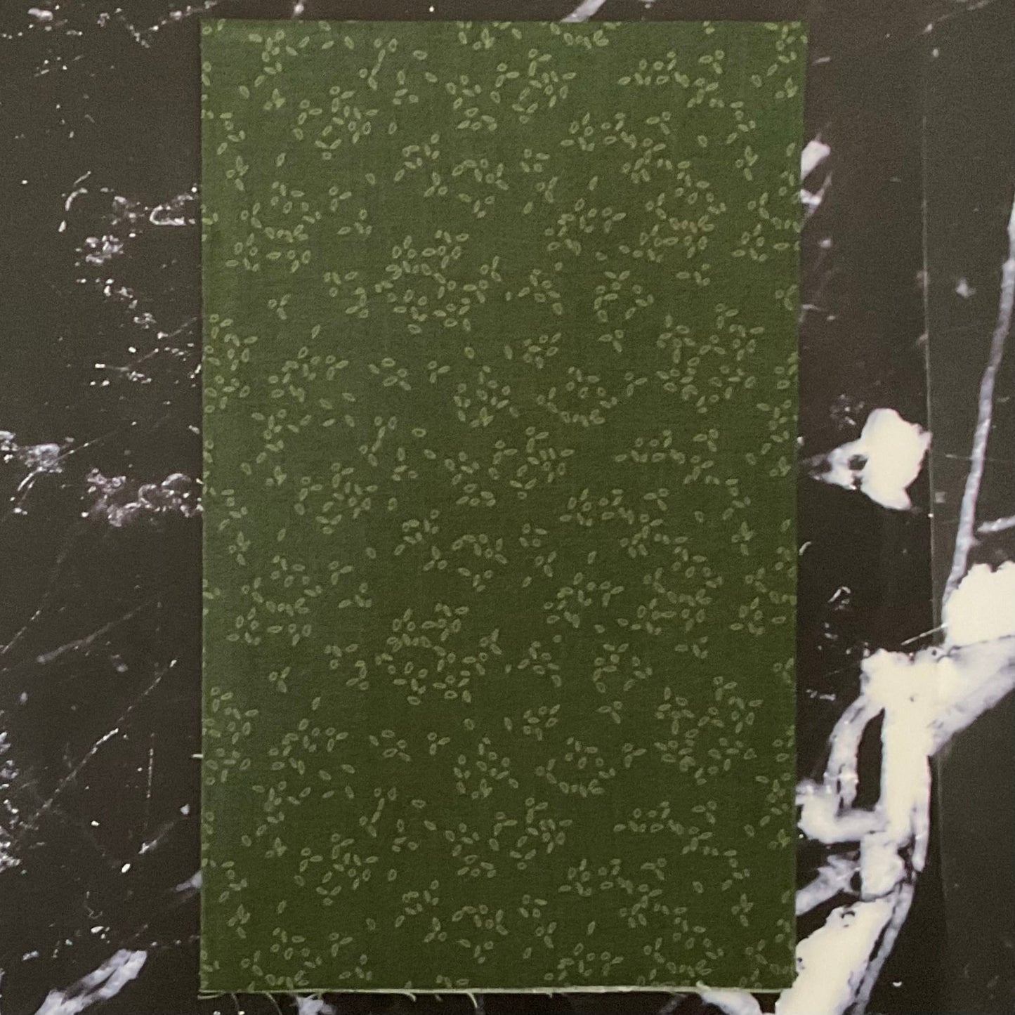 Nature Study 2.0 by Whistler Studios - Petal Spirulina 54687-13