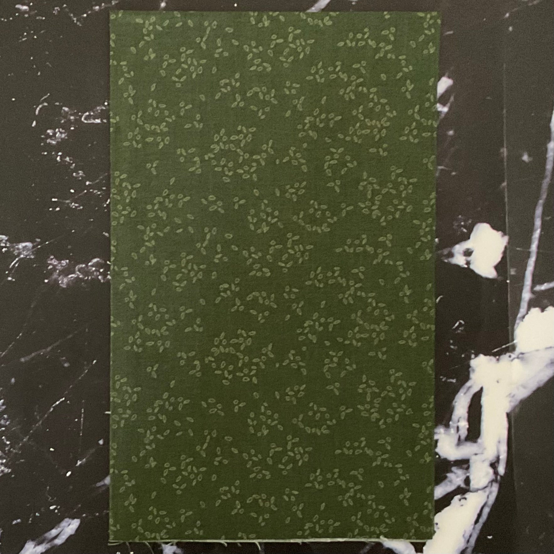 Nature Study 2.0 by Whistler Studios - Petal Spirulina 54687-13