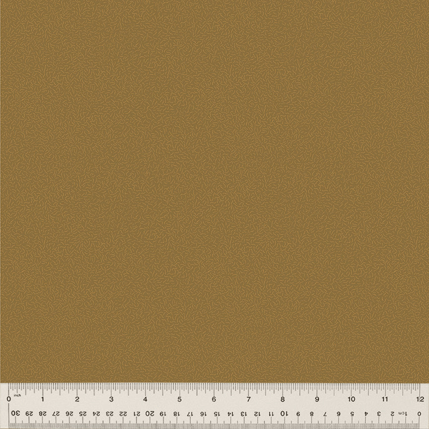 Nature Study 2.0 by Whistler Studios - Pile Kelp 54688-26