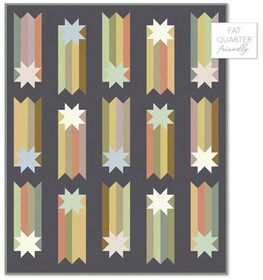 Nature Study 2.0 by Whistler Studios : Wish Quilt Kit