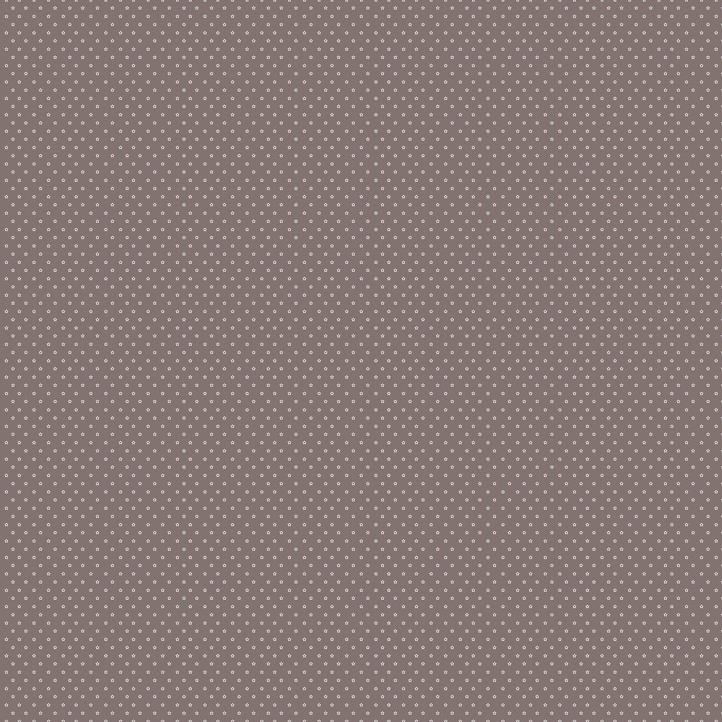 Nest by Ghazal Razavi : Stars Cocoa 92102-36