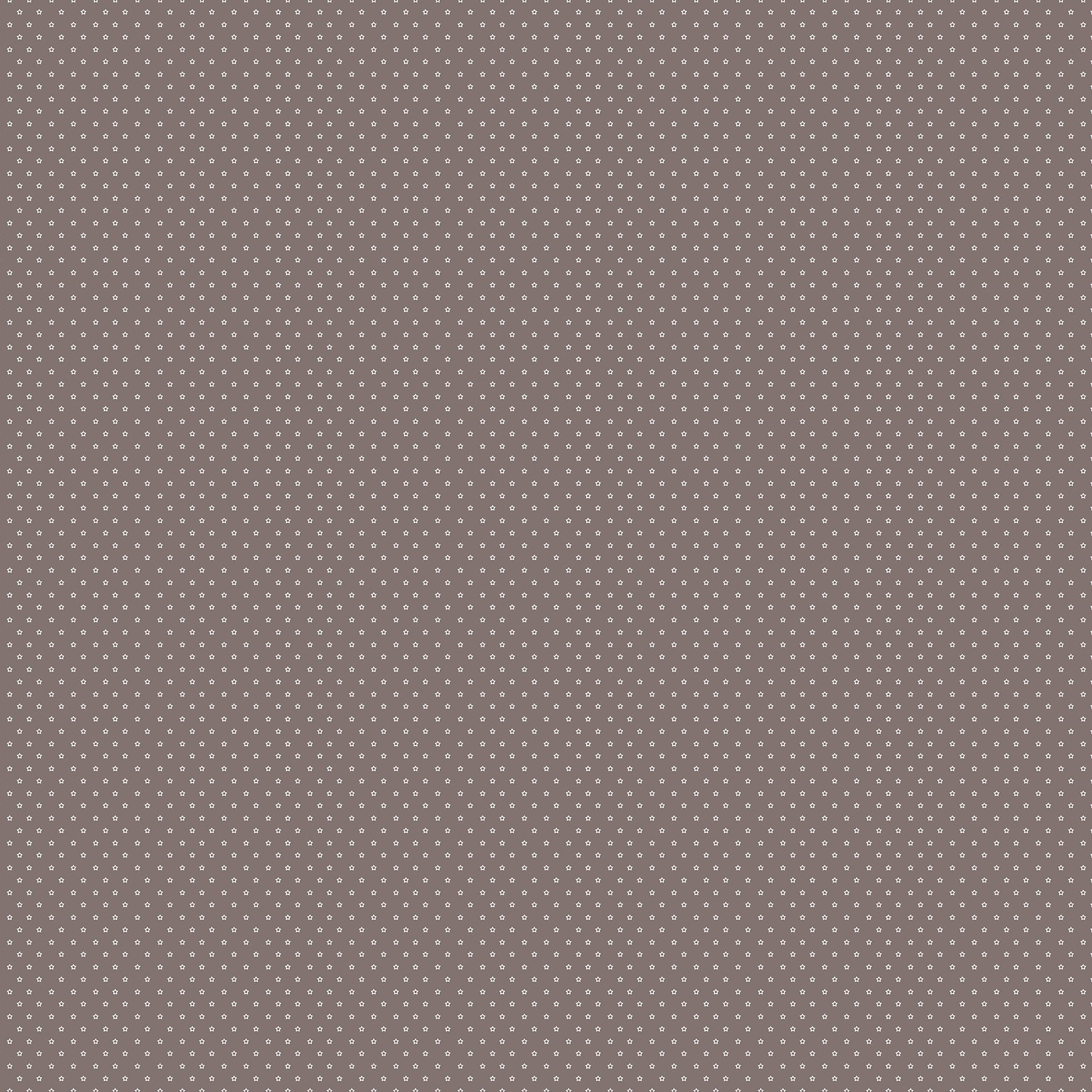 Nest by Ghazal Razavi : Stars Cocoa 92102-36