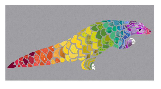 Pangolin by Madi Hastings - Kit