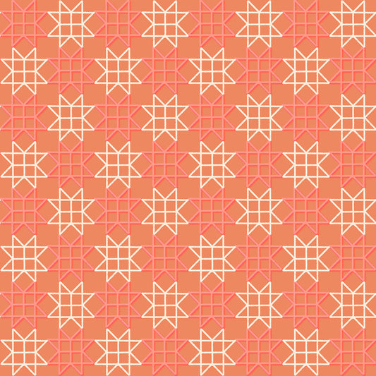 Paper Cuts 2 by Rashida Coleman-Hale : Paper Star Canyon RS1114 14
