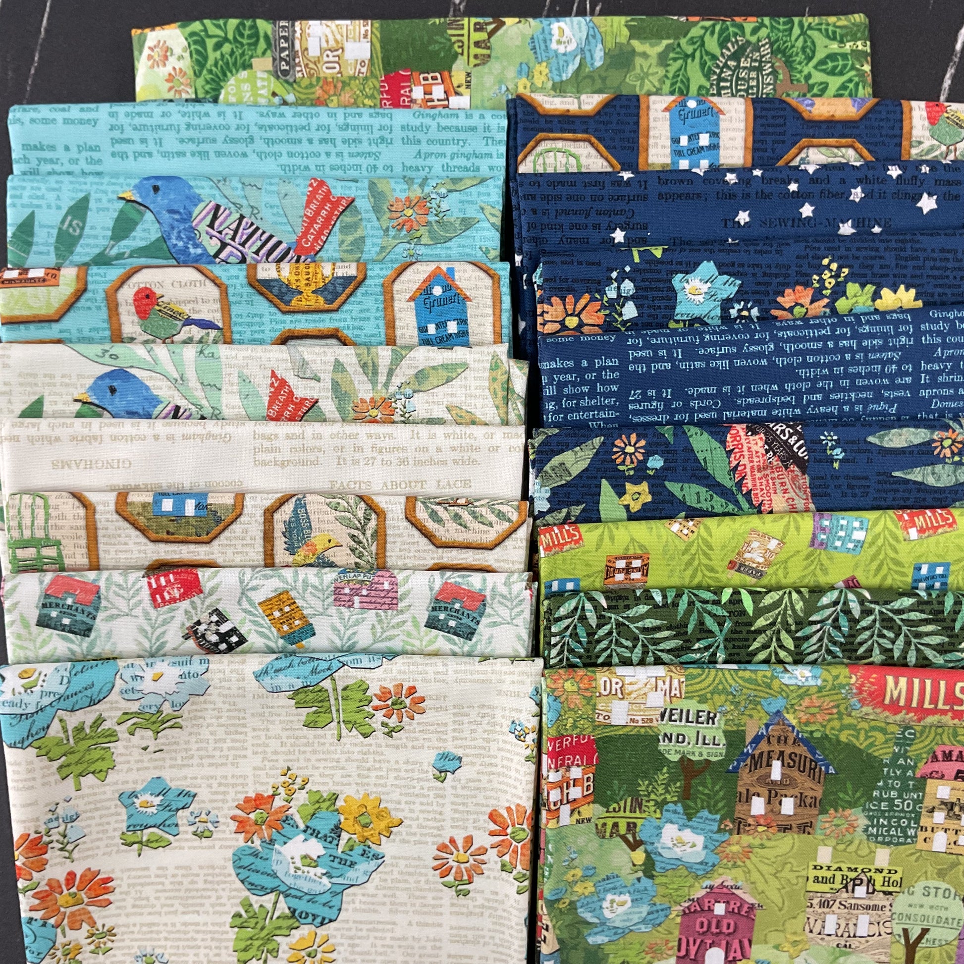 Paper Hamlet by Cathe Holden : Skybound Quilt Kit
