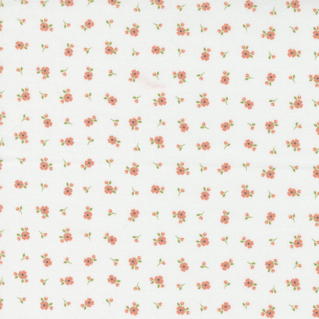 Peachy Keen by Corey Yoder - Off White 29175 11