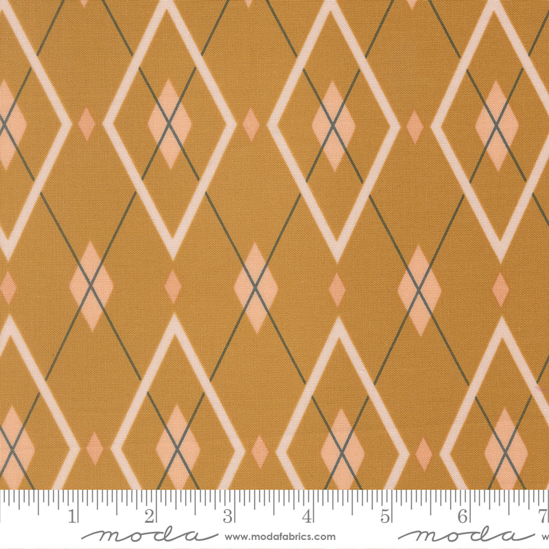 Peachy by Jessica Rose : Are You My Argyle Honey 38157 20